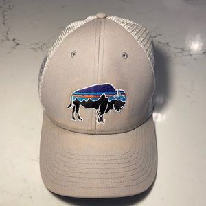 Patagonia Buffalo Trucker Snap Back Cap